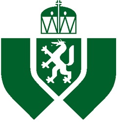 Image of wave generation