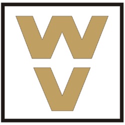 Image of wave generation